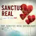 Pieces of Our Past - The Sanctus Real Anthology album cover