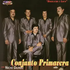 Conjunto Primavera, Vol. 1 by Conjunto Primavera album reviews, ratings, credits