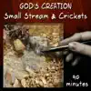 Small Stream and Crickets (90 Minutes) album lyrics, reviews, download