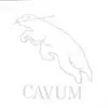 Cavum album lyrics, reviews, download