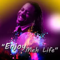 Enjoy Meh Life - Single by Mikey album reviews, ratings, credits