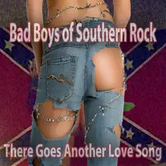 There Goes Another Love Song - Single by Bad Boys of Southern Rock album reviews, ratings, credits