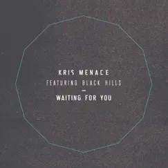 Waiting for You (Radio Cut) [feat. Black Hills] Song Lyrics