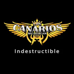 Indestructible by Los Canarios de Michoacán album reviews, ratings, credits