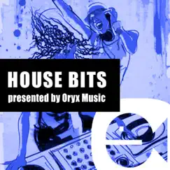 Best of House Bits Vol. 19 by Various Artists album reviews, ratings, credits