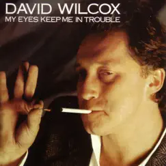 My Eyes Keep Me In Trouble by David Wilcox album reviews, ratings, credits