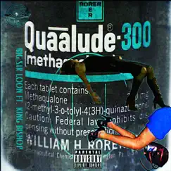 Quaaludes (feat. King Bishop) - Single by Big Sir Loon album reviews, ratings, credits