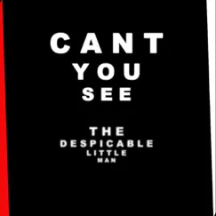 Can't You See - Single by The Despicable Little man album reviews, ratings, credits