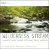 Wilderness Stream: Peaceful Water Sounds With Deep Forest Ambiance Nature Sounds for Deep Sleep, Meditation, & Relaxation album lyrics, reviews, download
