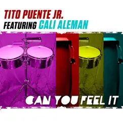 Can You Feel It (feat. Cali Aleman) Song Lyrics