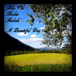 A Beautiful Day - Single by Nils-Ole Nerleir Finbak & Nils-Ole Finbak album reviews, ratings, credits