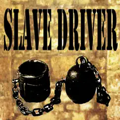 Slave Driver - Single by The Harry Munk Project album reviews, ratings, credits