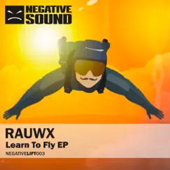 Learn to Fly - Single by Rauwx album reviews, ratings, credits