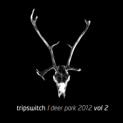 Deer Park (Joey Fehrenbach Remix) Song Lyrics