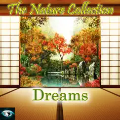 The Nature Collection: Dreams by Costanzo album reviews, ratings, credits