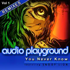 You Never Know [Feat. Snoop Lion] [Remixes Vol 1] - EP by Audio Playground album reviews, ratings, credits