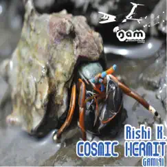 Cosmic Hermit - Single by Rishi K. album reviews, ratings, credits
