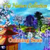 The Nature Collection: Calming Seas album lyrics, reviews, download