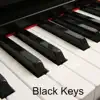 Black Keys album lyrics, reviews, download