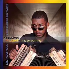 Darkness to Light - It Is What It Is by Lil' Nathan & The Zydeco Big Timers album reviews, ratings, credits