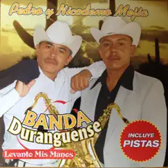 Tomado De La Mano (with Pedro Mejia) Song Lyrics