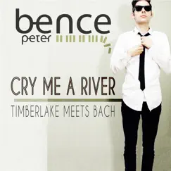 Cry Me a River Song Lyrics