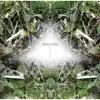 Symmetry/Kowaremono - Single album lyrics, reviews, download