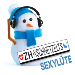 Züri Xschnetzelts Sexylüte Song Lyrics