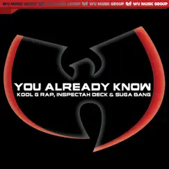 You Already Know (feat. Kool G Rap, Inspectah Deck & Suga Bang) - Single by RZA album reviews, ratings, credits