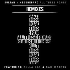 All These Roads (feat. Zella Day & Sam Martin) [Dave Edwards Remix] Song Lyrics