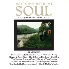 Way Down In My Soul - Best of Sugar Hill Gospel, Vol. 2 by Various Artists album reviews, ratings, credits