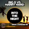 Into the Night (Breve & Harmonie Remix) [Big D vs. Harry Hard] - Single album lyrics, reviews, download