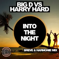 Into the Night (Breve & Harmonie Remix) [Big D vs. Harry Hard] - Single by Big D & Harry Hard album reviews, ratings, credits