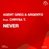 Never (feat. Chrysa T.) - Single album lyrics, reviews, download