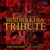 Bindrakhia Tribute - Single album lyrics, reviews, download