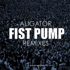 Fist Pump (Dax Remix) Song Lyrics