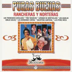 Puras Buenas Rancheras Y Norteñas by Various Artists album reviews, ratings, credits