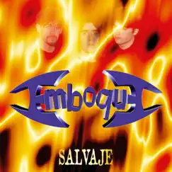 Salvaje Song Lyrics