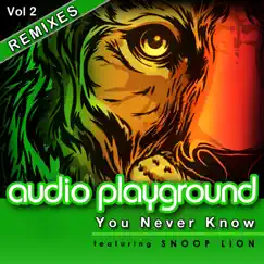 You Never Know [feat. Snoop Lion] [John Rizzo Club Mix] Song Lyrics