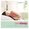 Zen Sleep (feat. Dr. Lee R. Bartel) album lyrics, reviews, download