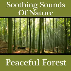 Soothing Sounds of Nature: Peaceful Forest by Pro Sound Effects Library album reviews, ratings, credits