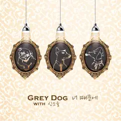 Because of You - Single by Grey Dog album reviews, ratings, credits