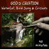 Waterfall, Bird Song & Crickets (90 Minutes) album lyrics, reviews, download