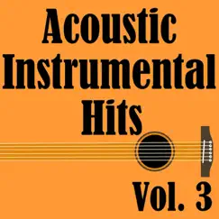 Acoustic Instrumental Hits, Vol. 3 by Wildlife album reviews, ratings, credits