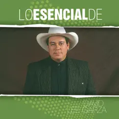 Lo Esencial De...: David Lee Garza by David Lee Garza album reviews, ratings, credits