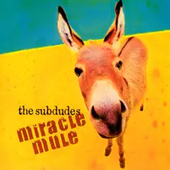 Miracle Mule Song Lyrics
