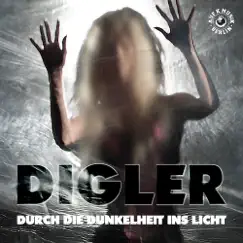 Durch die Dunkelheit ins Licht - Single by Digler album reviews, ratings, credits