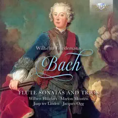 W.F. Bach: Flute Sonatas and Trios by Wilbert Hazelet, Marion Moonen, Jaap Ter Linden & Jacques Ogg album reviews, ratings, credits