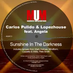Sunshine in the Darkness (feat. Angela) Song Lyrics