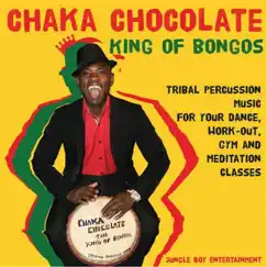 King of Bongos Song Lyrics